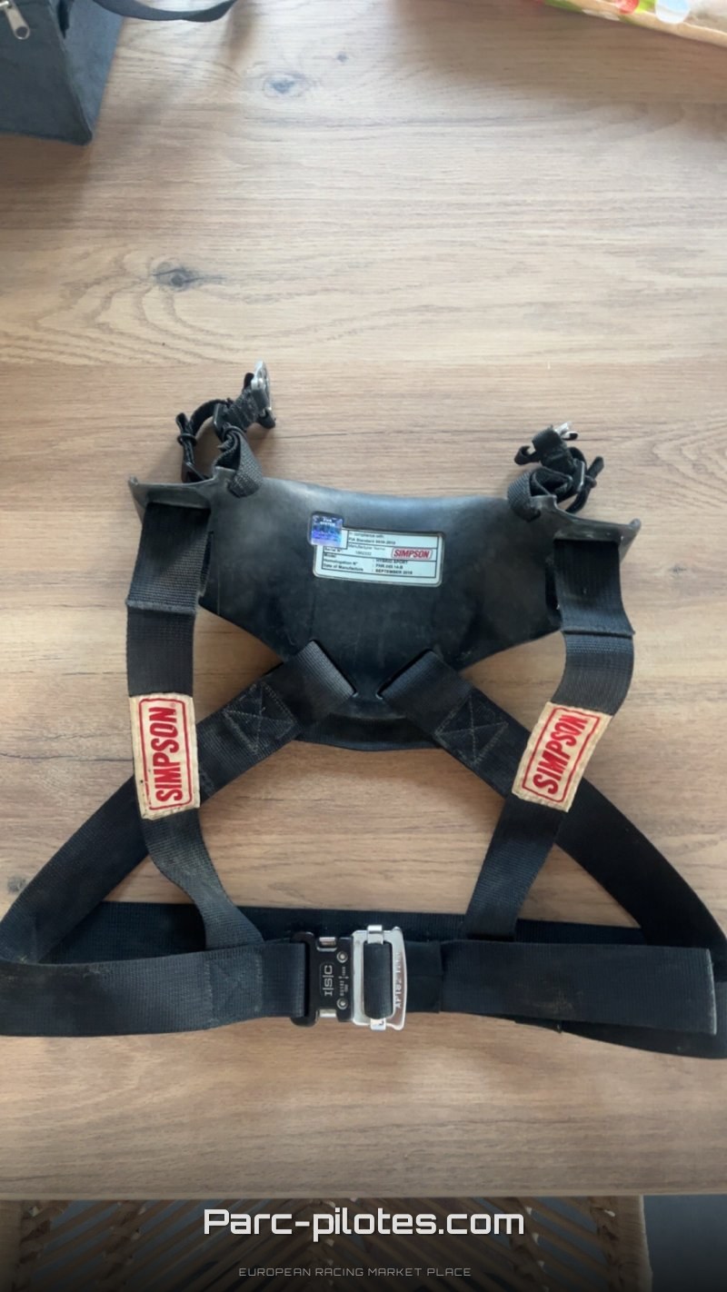 Hans Hybrid – photo 1