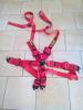 Harnais neuf 6point