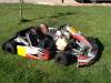 125 rotax max 