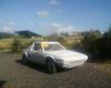Fiat x1-9
