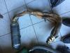 L'ogre akra pour gsxr