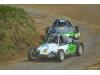 Buggy cup hayabusa 